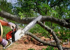  Stanleytown, VA Tree Services Pros